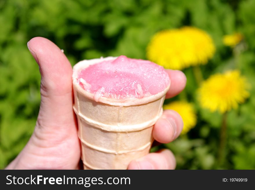 A hand is holding ice pink cream the background natural - green grass and a few dandelions. A hand is holding ice pink cream the background natural - green grass and a few dandelions