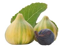 Ripe Fruits Of A Fig Royalty Free Stock Photography Ripe Fruits Of A Fig Royalty Free Stock Photography