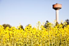 Country And Water Tower Stock Photo Country And Water Tower Stock Photo