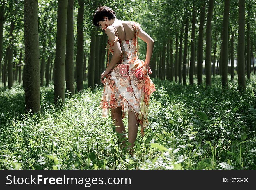 Woman on his back, orange dress, walking among the poplars. Woman on his back, orange dress, walking among the poplars