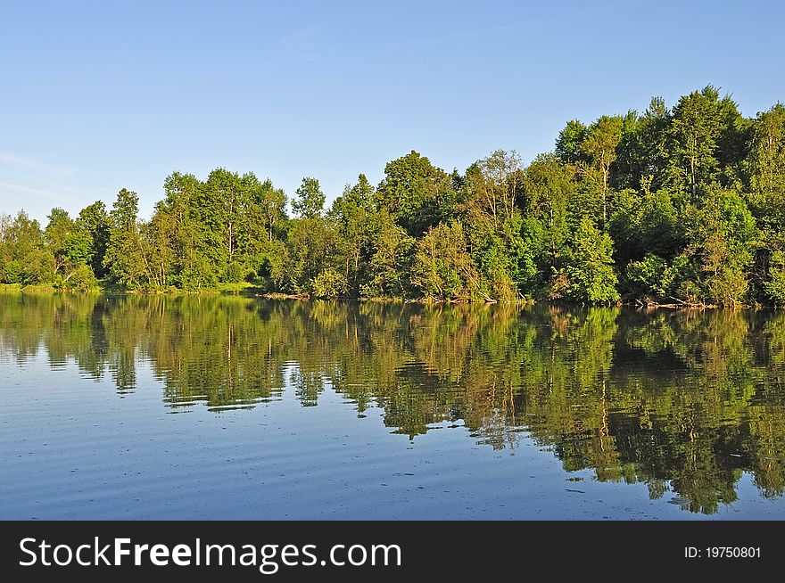 View of summer lake with trees reflections, sunset. View of summer lake with trees reflections, sunset