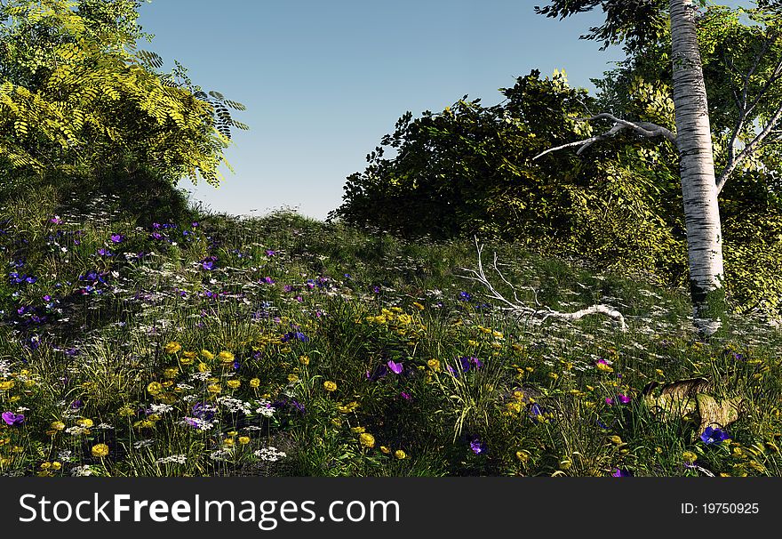 A field of flowers on a hill. A field of flowers on a hill