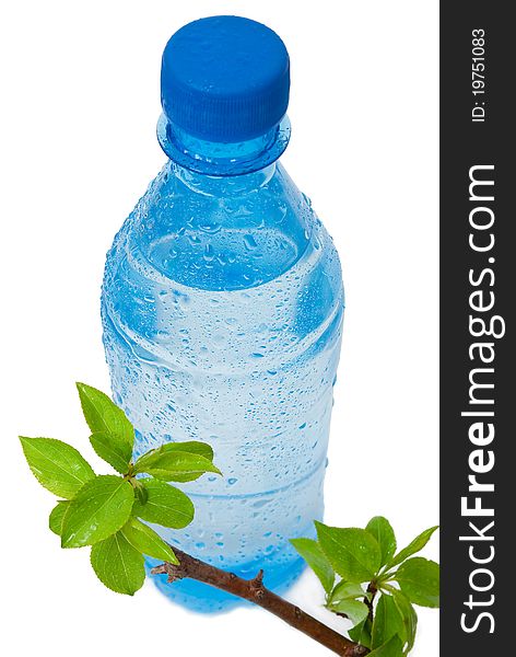 Bottle of water with green apple branch