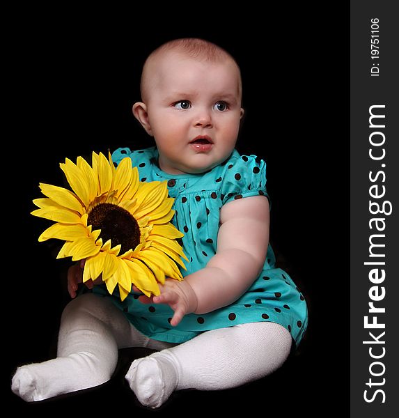 Beautiful infant girl in polka dot dress sitting with large golden sunflower. isolated on black. Beautiful infant girl in polka dot dress sitting with large golden sunflower. isolated on black