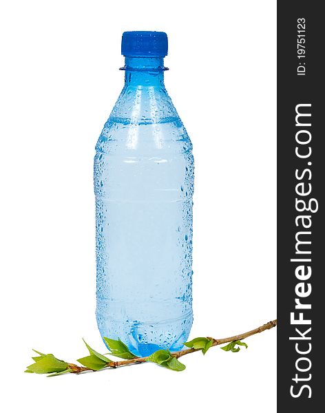 Bottle of water with green  branch on white