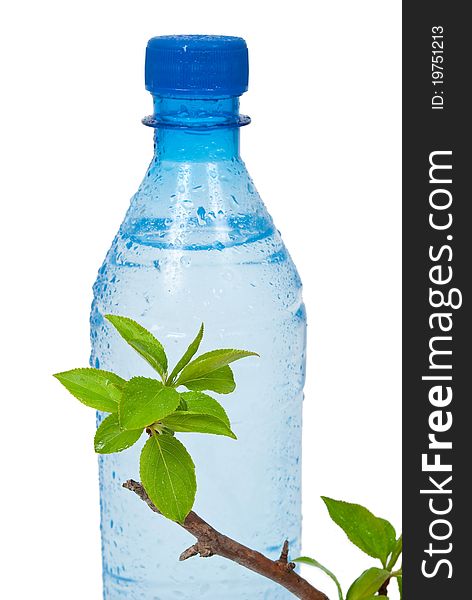 Bottle of water with green apple branch on white