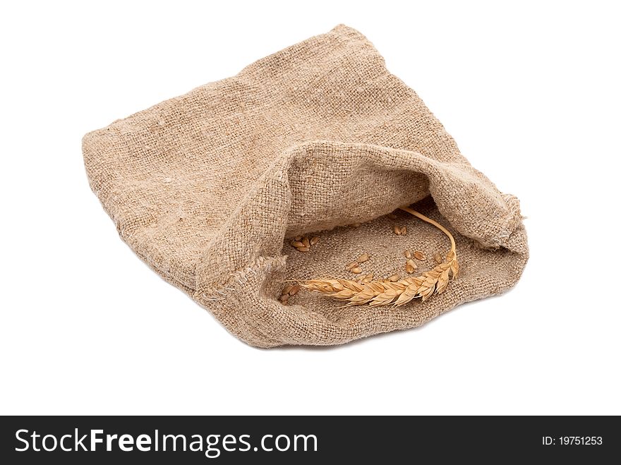 Sack with wheat grains and ears on white