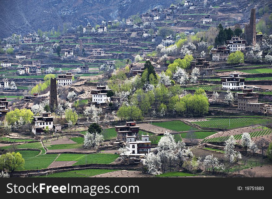 The spring color of the Tibetan villages