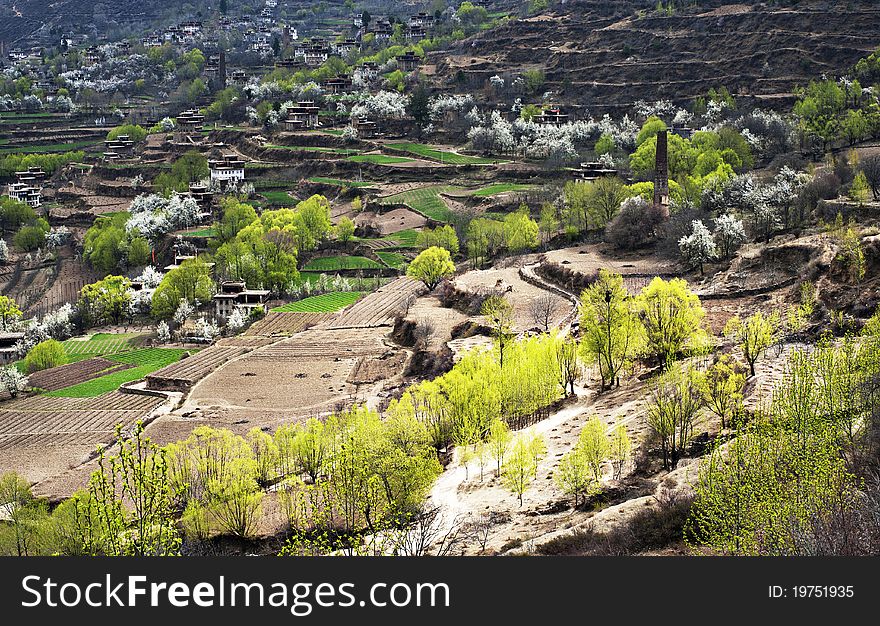 The spring color of the Tibetan village