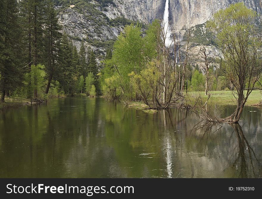 Trees reflected in the swollen Merced River in Yosemite Valley view from Swinging Bridge in Yosemite National Park in California. Trees reflected in the swollen Merced River in Yosemite Valley view from Swinging Bridge in Yosemite National Park in California