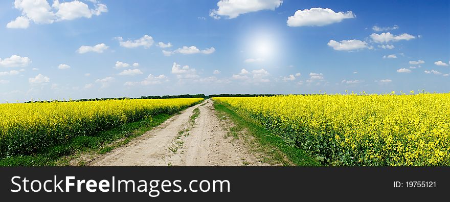 Amazing Yellow Field Of Rapeseeds And The Blue Sky