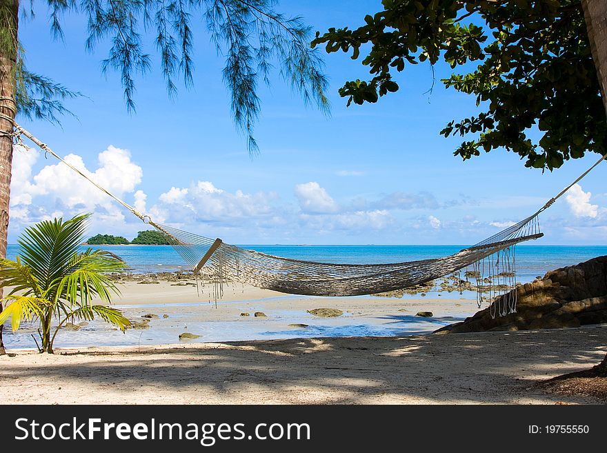 Relaxation on the summer beach. Relaxation on the summer beach