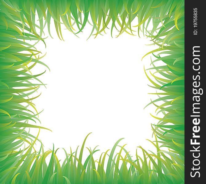 Green grass with background, Vector