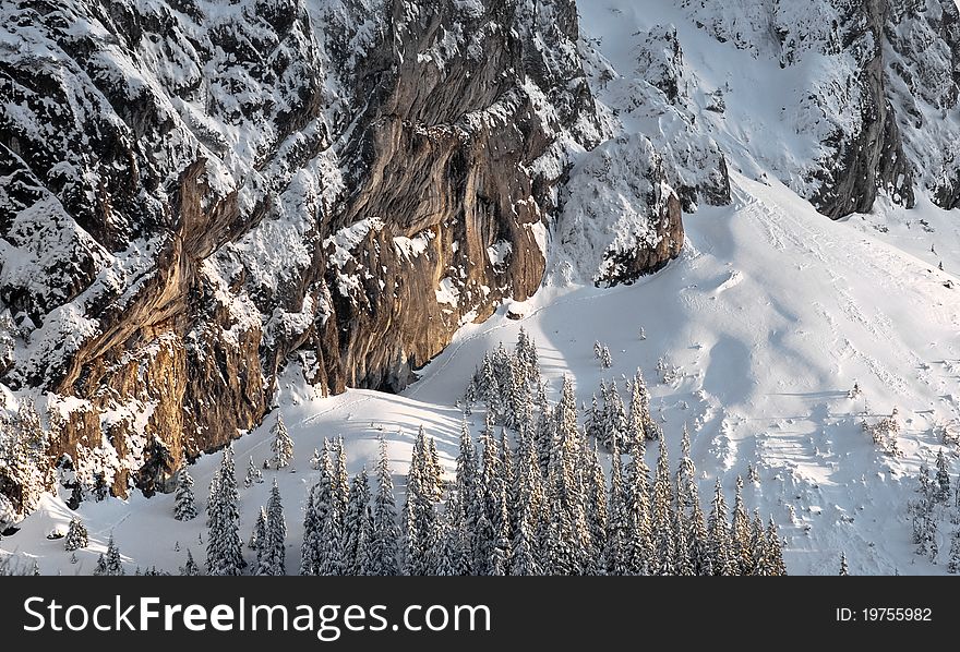 Sunset on a cliff with snow and trees. Sunset on a cliff with snow and trees