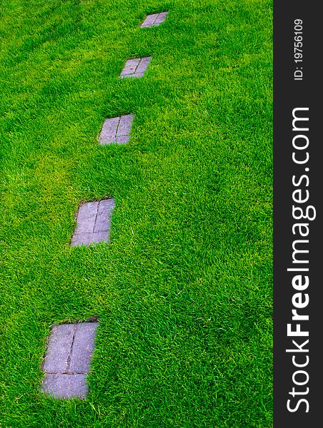 Footpath on a grass