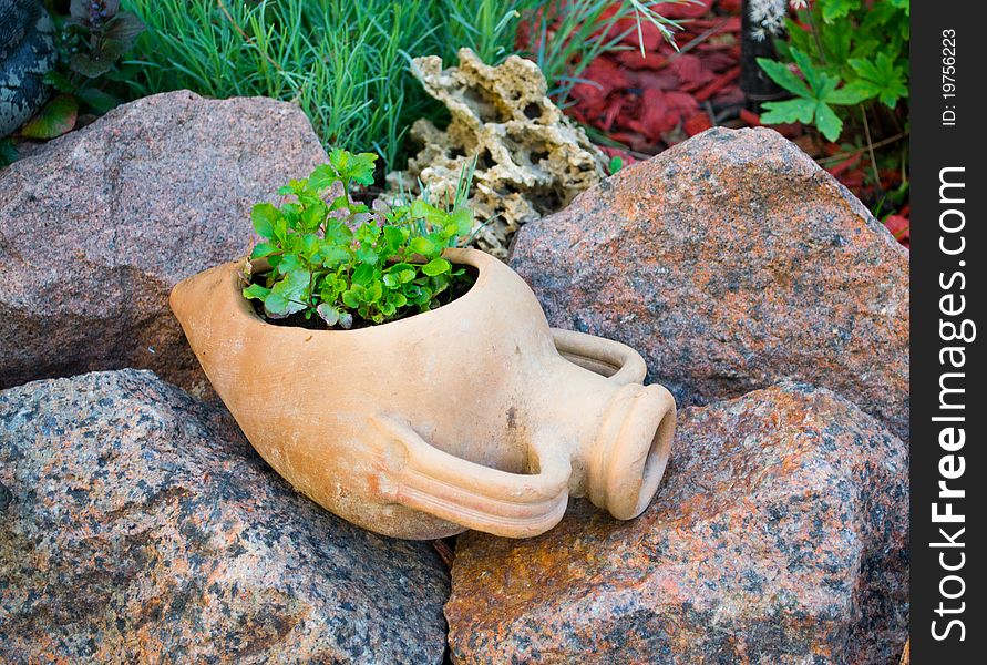 Decorative jug with plants. NATURE.