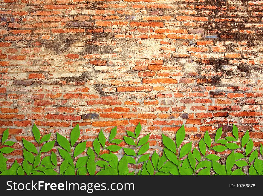 Leaves wood covered brick wall