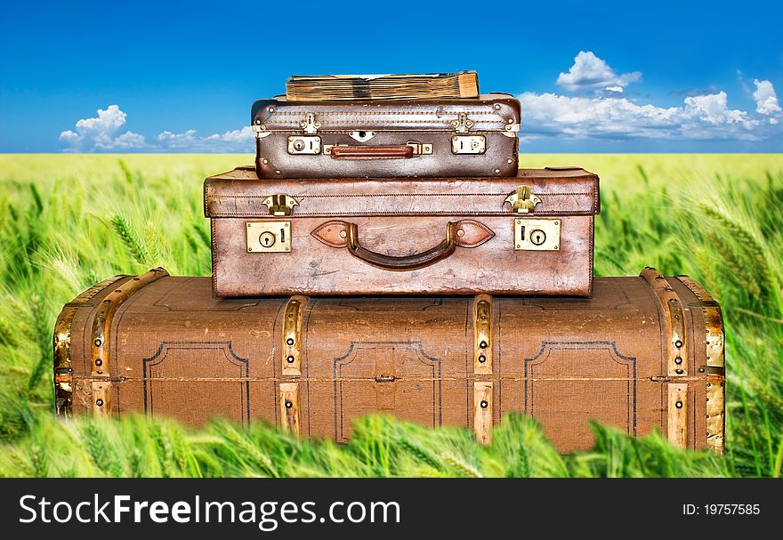 Green wheat field with three old leather suitcases stacked up