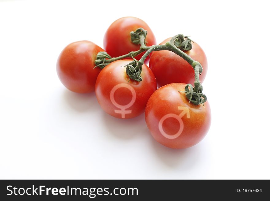 Fresh Female and Male Tomatoes Signs