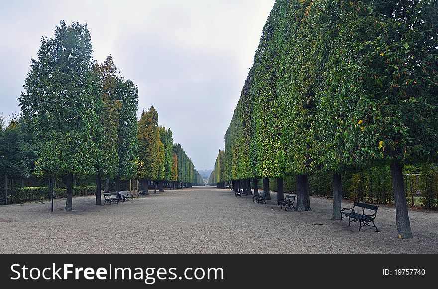 Green and stark parkway in Wien