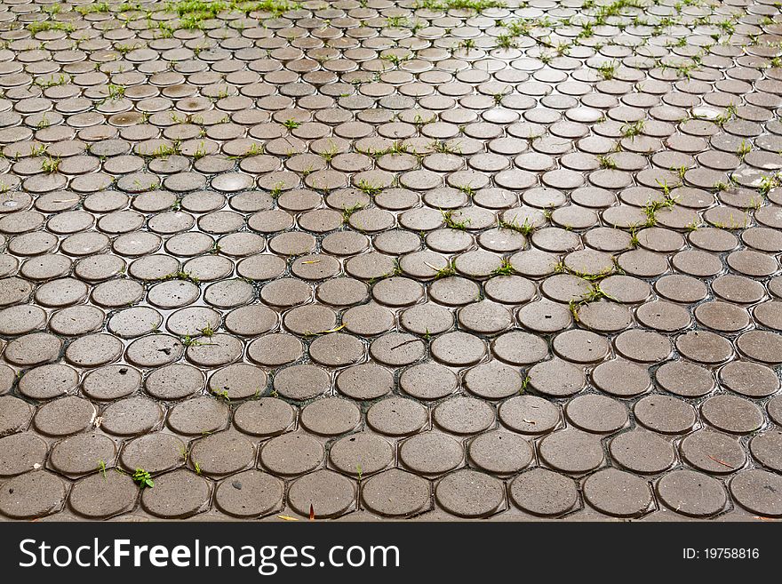 Wet brick floor