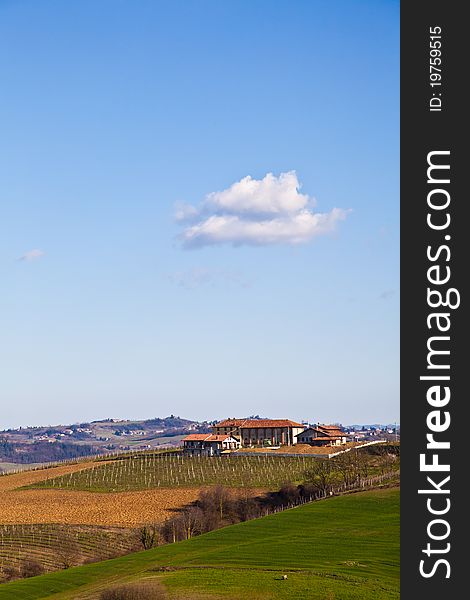 Italian villa with vineyard: spring season