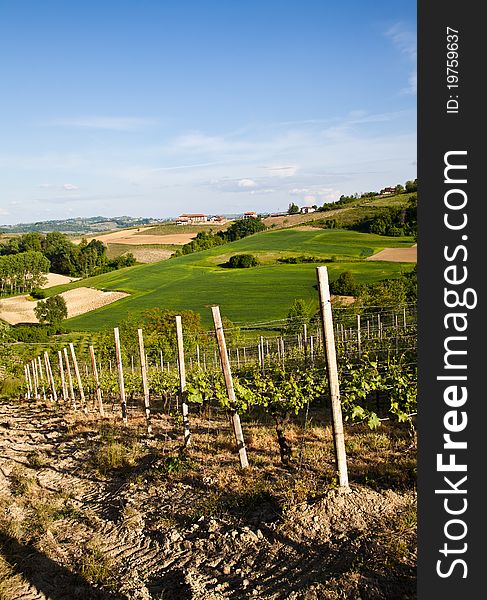 Landscape of Monferrato area in Piedmont region - Italy. Landscape of Monferrato area in Piedmont region - Italy