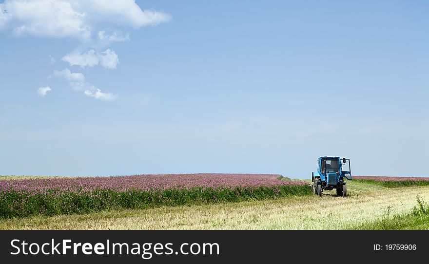 Tractor mowing a field crop