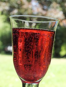 Raspberry Soda Royalty Free Stock Photos Raspberry Soda Royalty Free Stock Photos