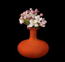 Bouquet Of Flowers And Buds Of Apple Stock Photography Bouquet Of Flowers And Buds Of Apple Stock Photography