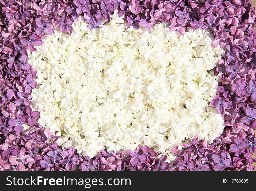 Oval beautiful frame of white and dark lilac flowers