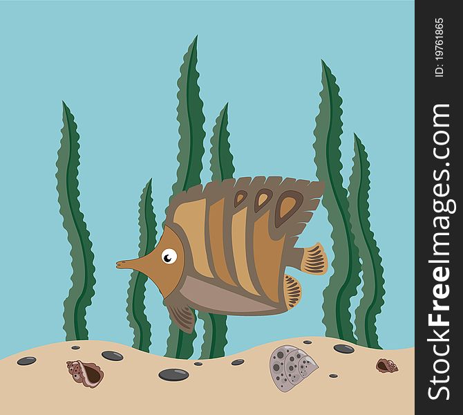 Funny brown fish swims in the sea