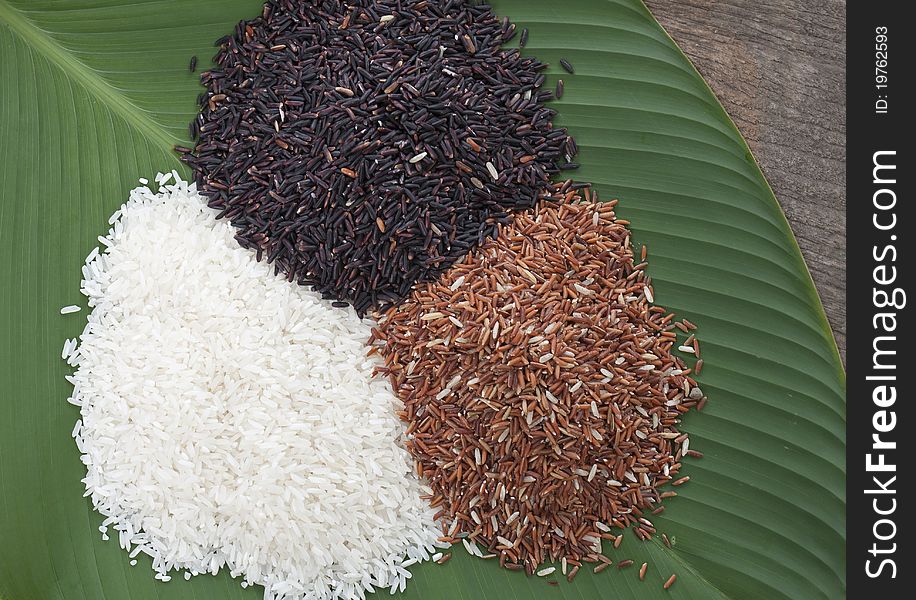 Three kind of asian rice on leaf.