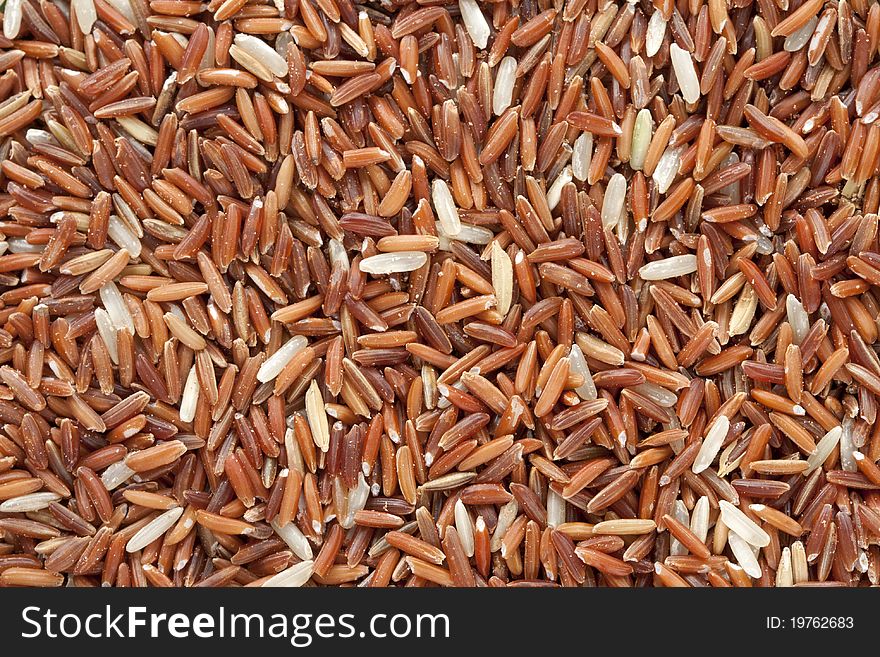 Red rice grain for healthy food.