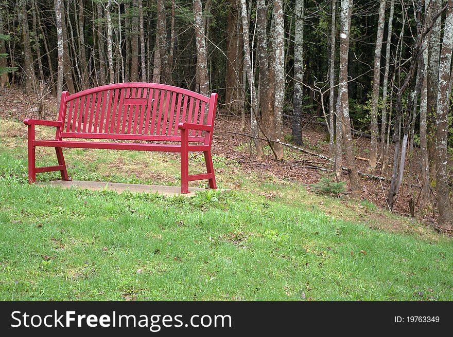 Red Park Bench in a woodland park