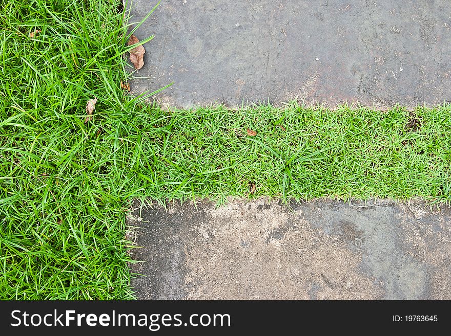 Brown stone and green grass. Brown stone and green grass