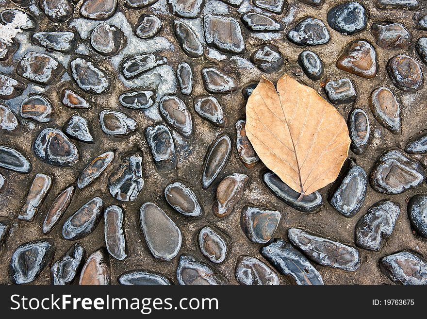 Background of stone and leaf. Background of stone and leaf