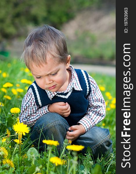 Cute 2 years old boy with dandelion outdoors at sunny summer day