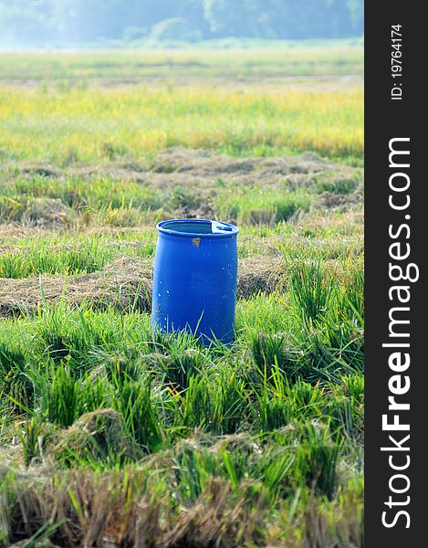 Blue tank for clear water in the middle of paddy field isolated green paddy field. Blue tank for clear water in the middle of paddy field isolated green paddy field