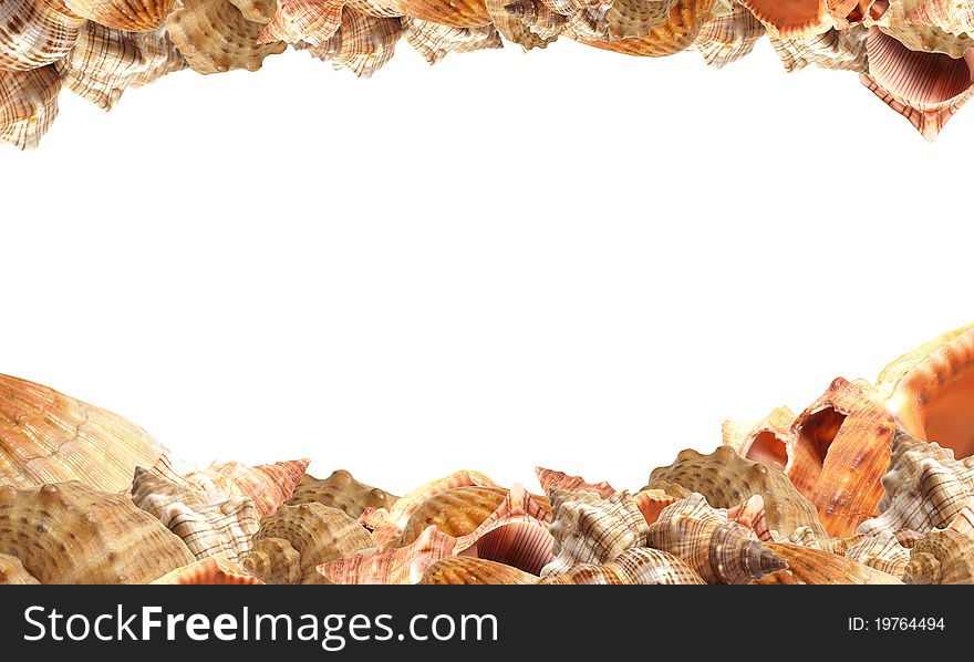 Seashell, starfish and sea-urchin on a sand background