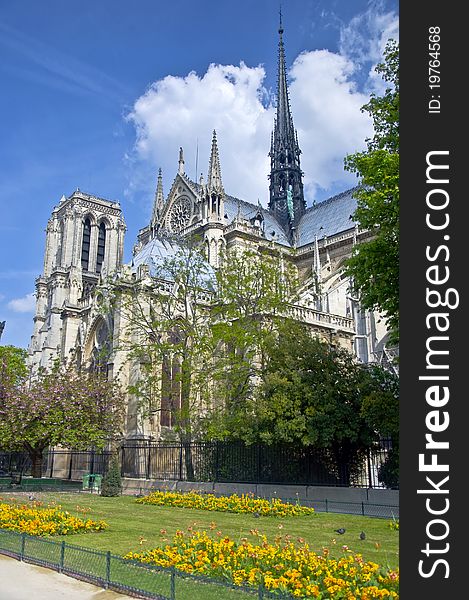 Notre Dame de Paris. The view from the park. Urban scene, Spring.