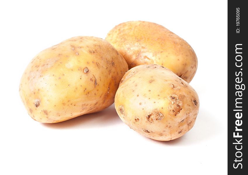 Yellow Potato Group