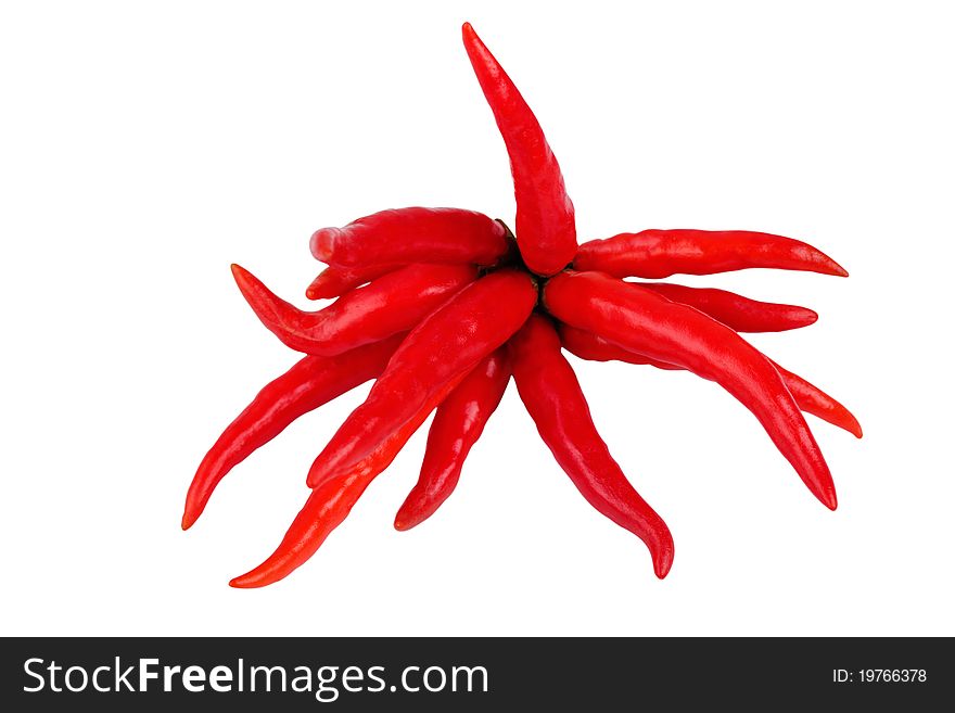 Bunch of red chilli peppers isolated on white