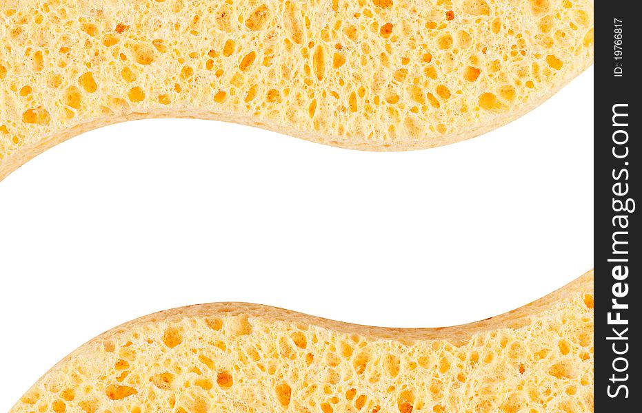 Sponges Closeup