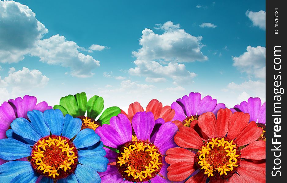 Floral background with blue sky