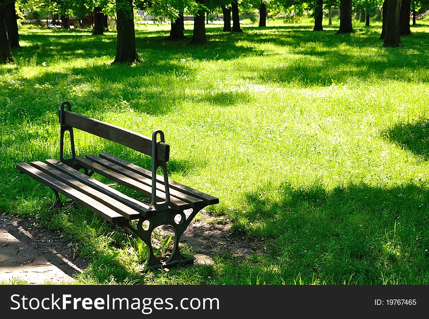 Spring morning. Green grass and leaves in park. Spring morning. Green grass and leaves in park