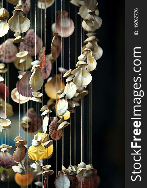 Dangling shells in a wind chime