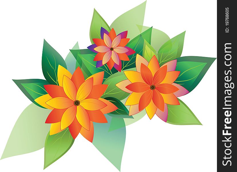 Illustration of flowers with leaves of asters