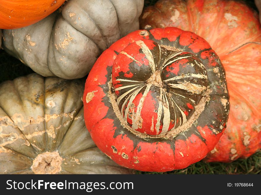 A pile of multicolored pumpkins