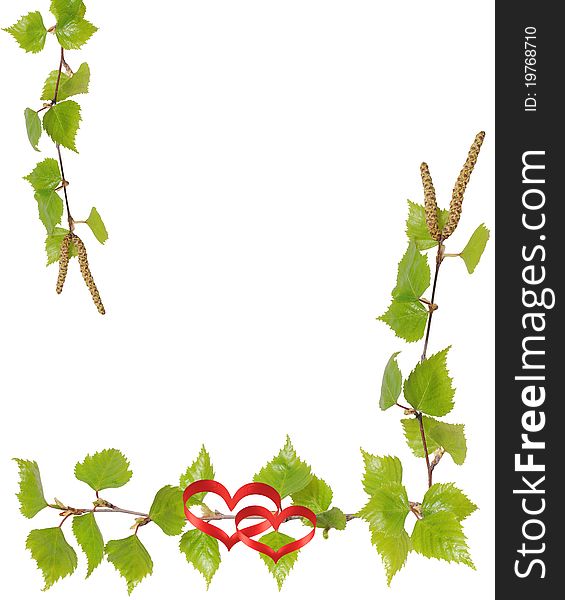 Birch leaves and red ribbons are isolated on a white background. Birch leaves and red ribbons are isolated on a white background.